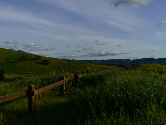 A photo of a fence disappearing into the hills amongst long grass beneath a blue sky and clouds